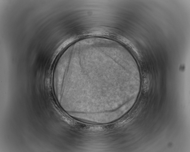 X0000098000882200804211128