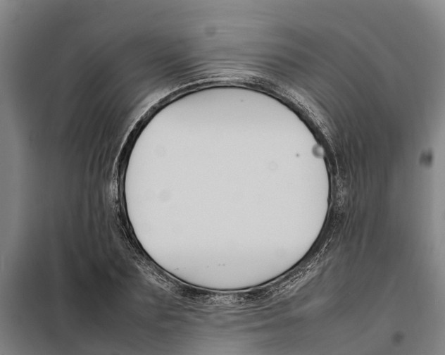 X0000098000883200804211128