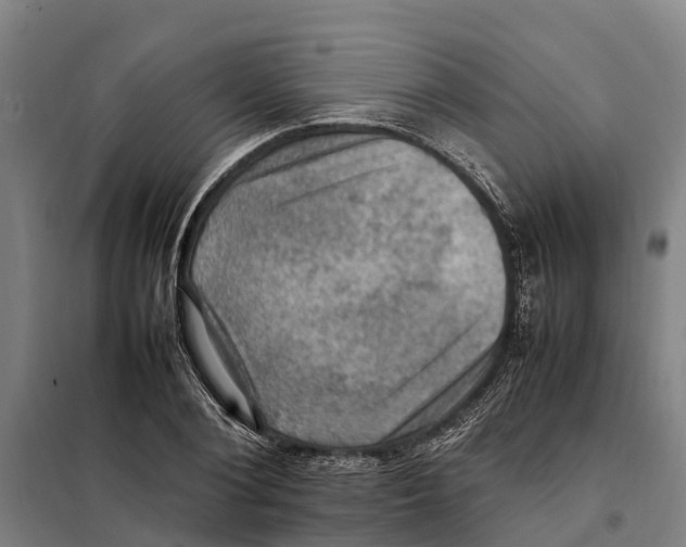X0000098000884200804211128