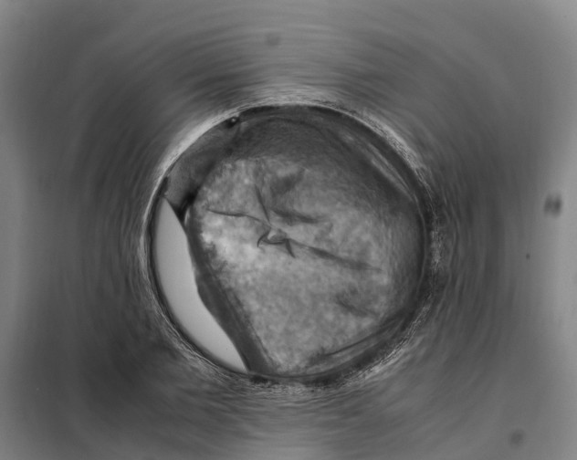 X0000098000885200804211128