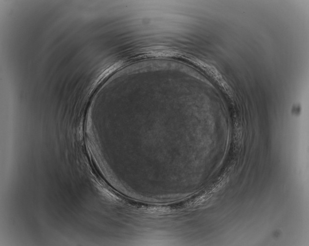 X0000098000889200804211128