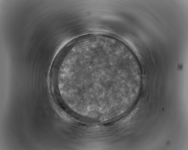X0000098000891200804211128