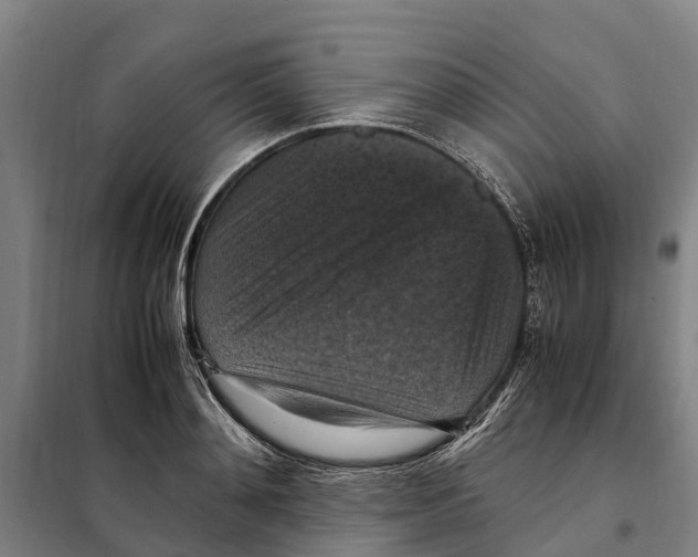 X0000098000892200804211128
