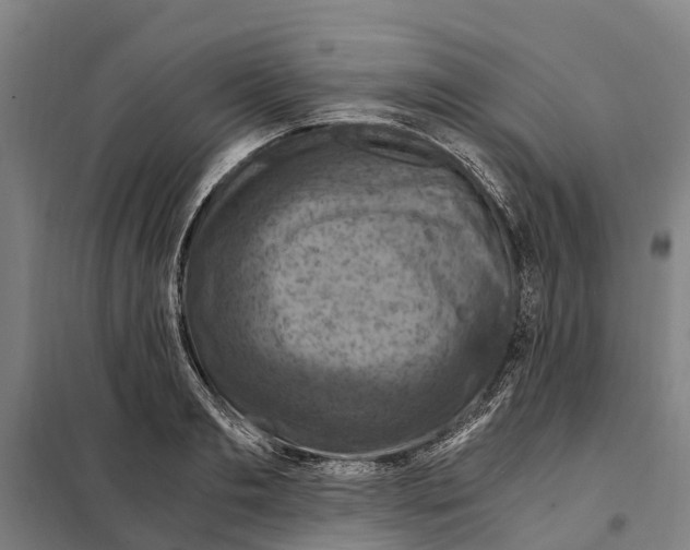 X0000098000893200804211128