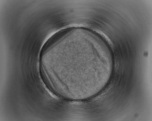 X0000098000894200804211128