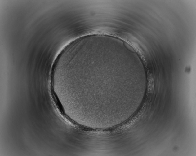 X0000098000896200804211128