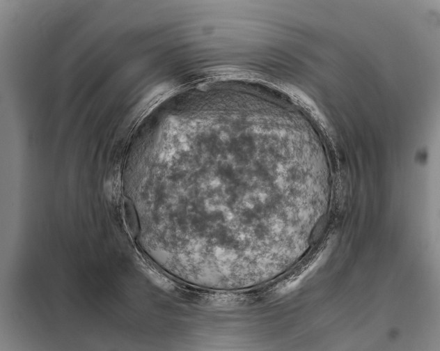 X0000098000897200804211128