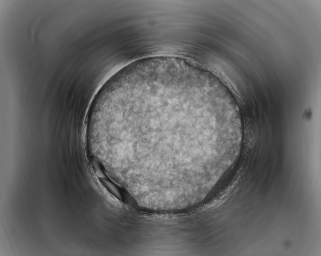 X0000098000900200804211128