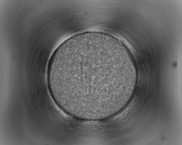 X0000098000902200804211128