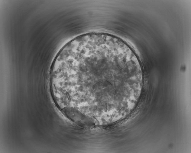 X0000098000903200804211128