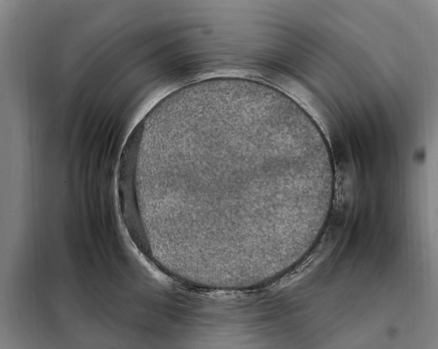 X0000098000906200804211128