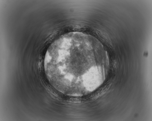 X0000098000914200804211127