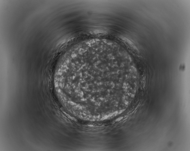 X0000098000917200804211127