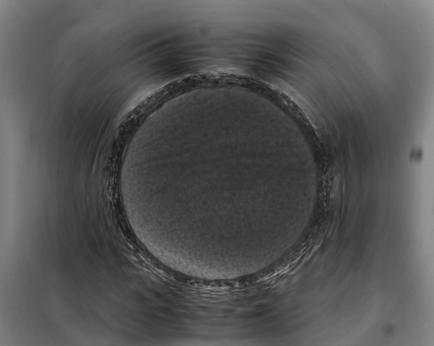 X0000098000919200804211127