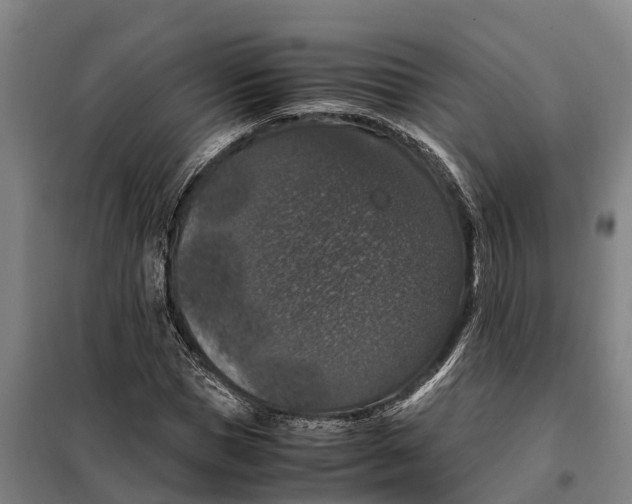 X0000098000921200804211127