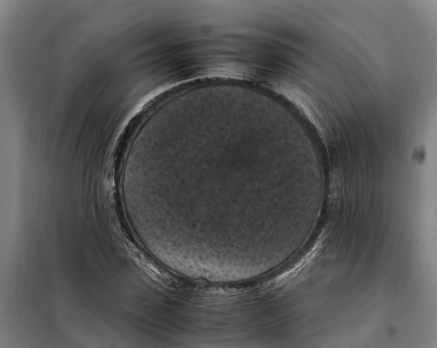 X0000098000923200804211127