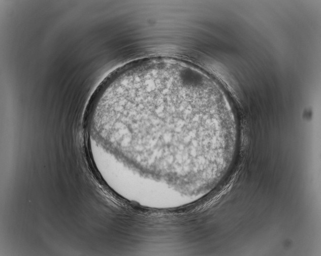 X0000098000924200804211127