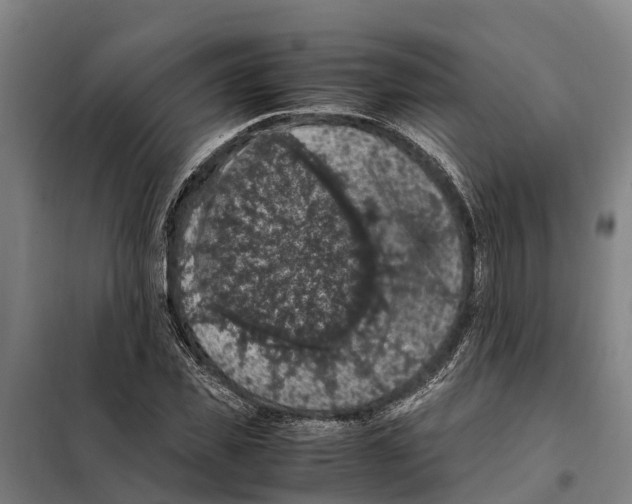 X0000098000925200804211127