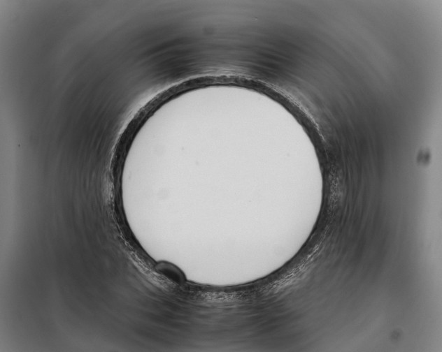 X0000098000927200804211127