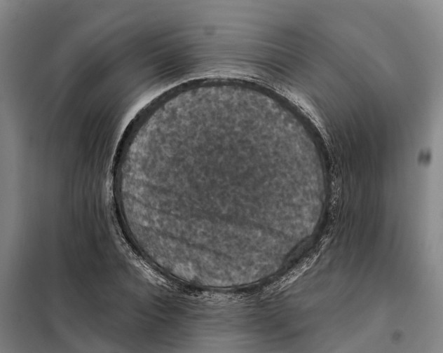 X0000098000928200804211127