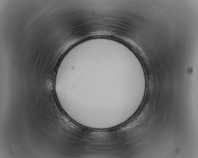 X0000098000929200804211127
