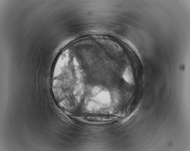 X0000098000930200804211127