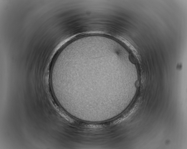 X0000098000933200804211127