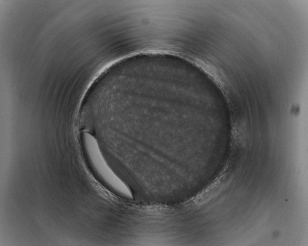 X0000098000934200804211127