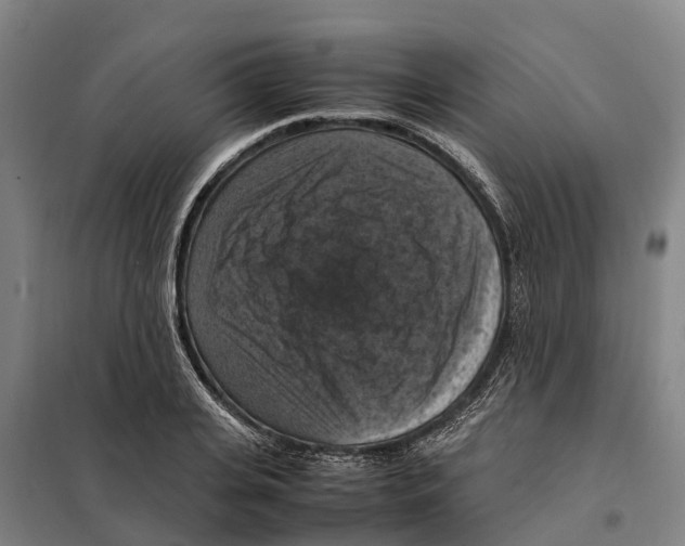 X0000098000935200804211127