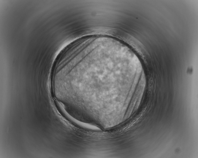 X0000098000936200804211127
