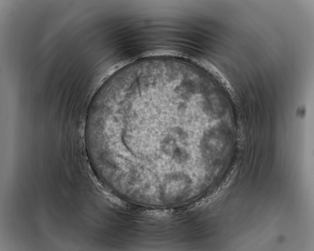 X0000098000937200804211127