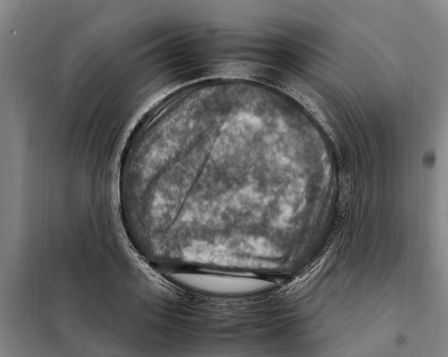 X0000098000939200804211127