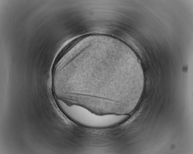 X0000098000940200804211127