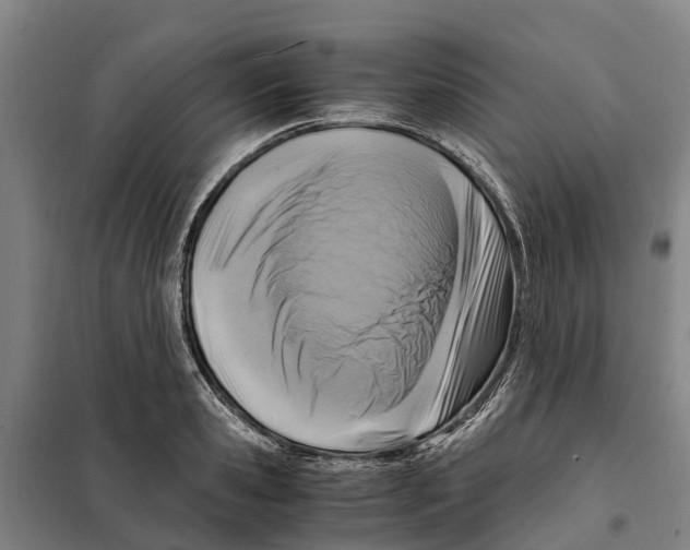 X0000098000941200804211127