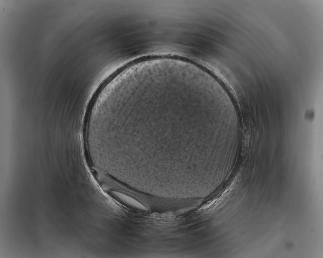X0000098000943200804211127