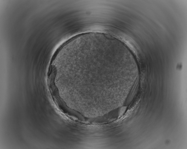 X0000098000944200804211127