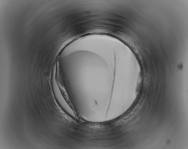 X0000098000945200804211127