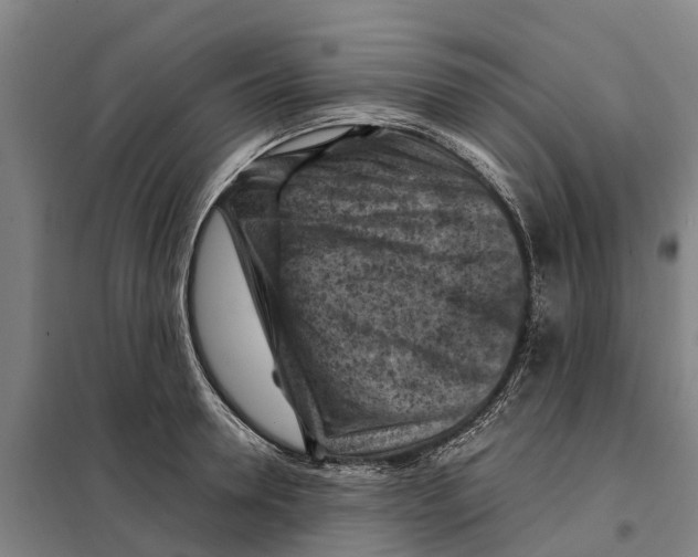 X0000098000946200804211127