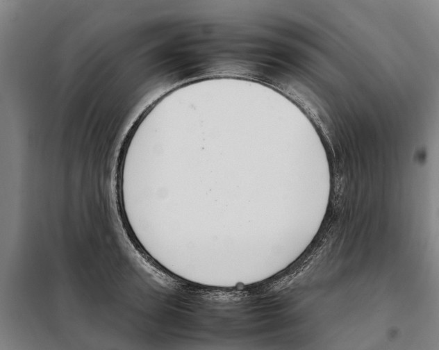 X0000098000947200804211127