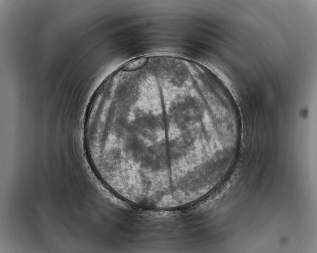 X0000098000949200804211127