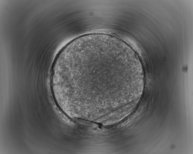X0000098000952200804211127