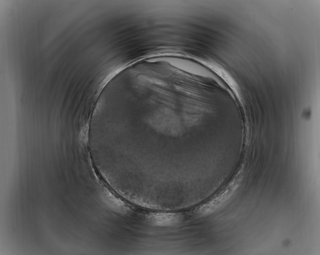 X0000098000953200804211127