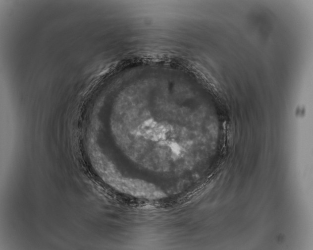 X0000098000961200804211127