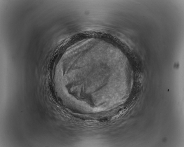 X0000098000965200804211127