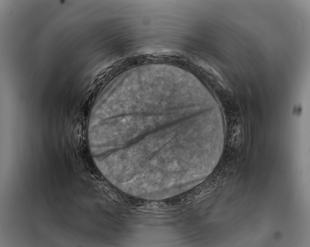 X0000098000966200804211127