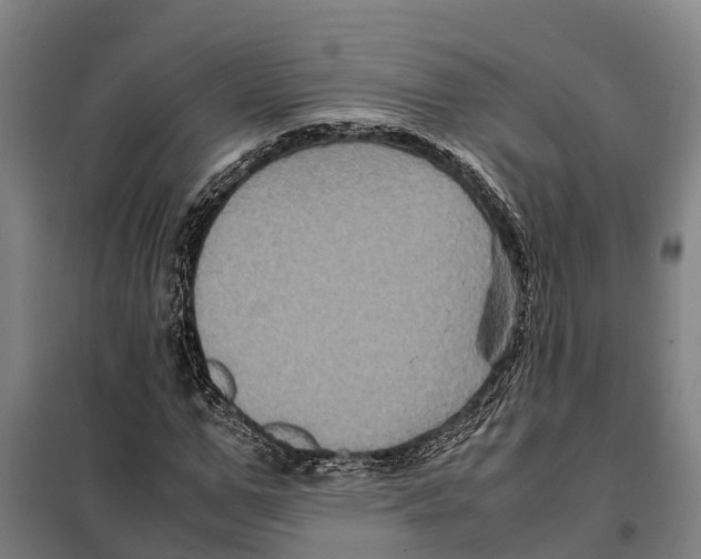 X0000098000967200804211127