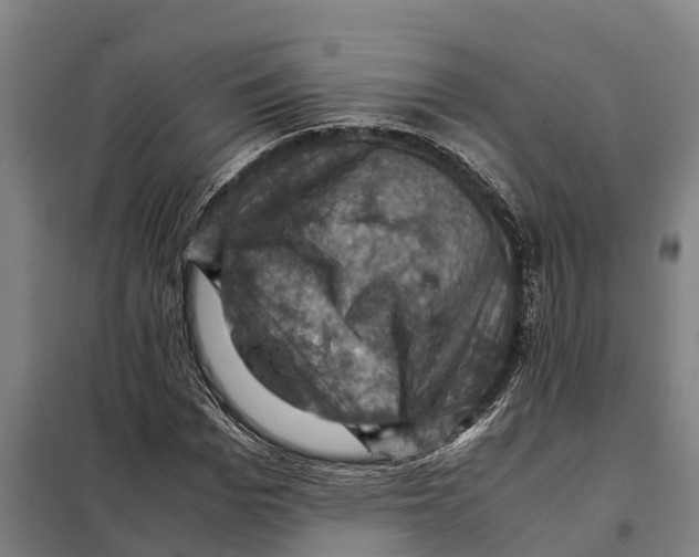 X0000098000969200804211127