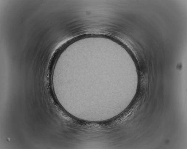 X0000098000971200804211127