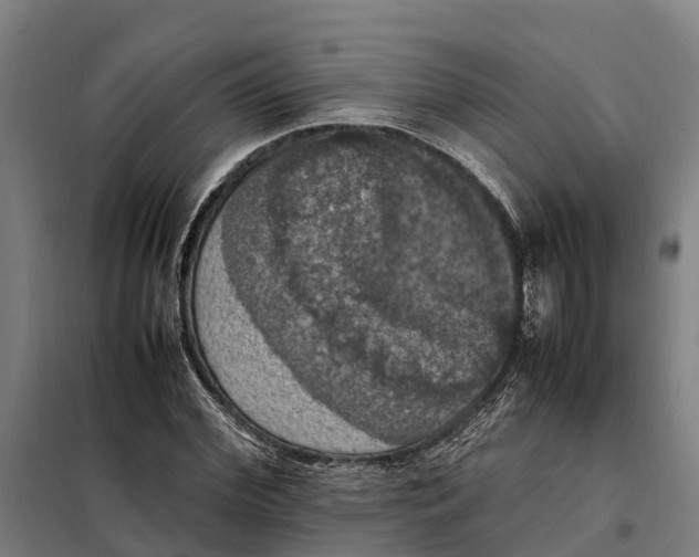 X0000098000972200804211127