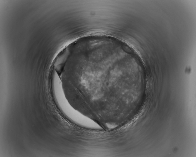 X0000098000973200804211127